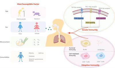 Innate and adaptive immunity to SARS-CoV-2 and predisposing factors